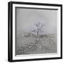 Barren-Amanda Lee Smith-Framed Photographic Print