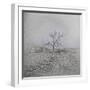 Barren-Amanda Lee Smith-Framed Photographic Print