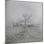 Barren-Amanda Lee Smith-Mounted Photographic Print