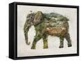 Framed Canvas