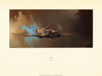 Spitfire-Barrie Clark-Art Print