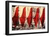 Barriers to Statehood, 1992-Laila Shawa-Framed Giclee Print