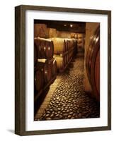 Barrique Cellar in Abbazia Di Rosazzo, Collio, Friuli-Hans-peter Siffert-Framed Photographic Print