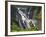 Barron Falls, Kuranda, Cairns, Queensland, Australia-Peter Adams-Framed Photographic Print