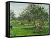 Barrow in the Orchard, circa 1881-Camille Pissarro-Framed Stretched Canvas