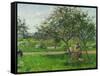 Barrow in the Orchard, circa 1881-Camille Pissarro-Framed Stretched Canvas