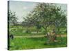 Barrow in the Orchard, circa 1881-Camille Pissarro-Stretched Canvas