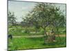 Barrow in the Orchard, circa 1881-Camille Pissarro-Mounted Giclee Print