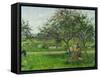 Barrow in the Orchard, circa 1881-Camille Pissarro-Framed Stretched Canvas