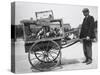 Barrow of Birds at the Paris Animal Market, 20th Century-Andrew Pitcairn-knowles-Stretched Canvas