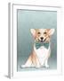Chelsea White