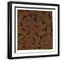 Black Frame