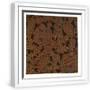 White Frame