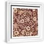 White Frame