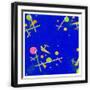 Black Frame