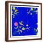 Brown Frame