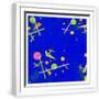 White Frame