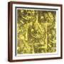 Brown Frame
