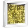 White Frame