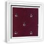 White Frame