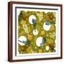 Brown Frame