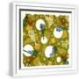 White Frame