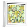 White Frame