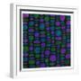 White Frame