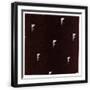 Black Frame