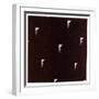 White Frame
