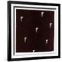 Gramercy Black