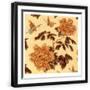 Black Frame