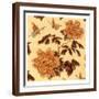 Brown Frame