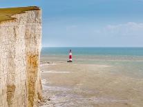 Empty bench amid wildflowers on the shingle beach at Pevensey Bay, East Sussex-Barry Davis-Framed Photographic Print