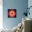 Barry Harris - Bull's Eye!-null-Framed Stretched Canvas displayed on a wall