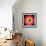 Barry Harris - Bull's Eye!-null-Framed Art Print displayed on a wall