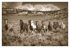 Rest Stop-Barry Hart-Stretched Canvas