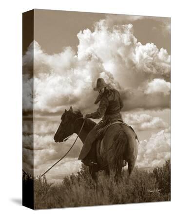 Lost Canyon Cowboy by Barry Hart Art Print Horse Western Photo Poster 19x13