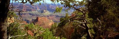 The Grand Canyon, Day Time, View over the Landscape of the Canyon and the Green Vegetation-Barry Herman-Laminated Photographic Print