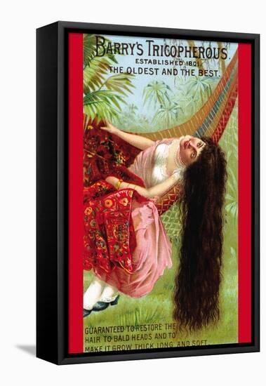 Barry's Tricopherous - Long Hair-null-Framed Stretched Canvas