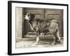 Barry the St Bernard Dog - a Faithful Servant of the Hospice of the Great St Bernard-null-Framed Photographic Print