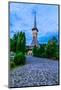 Barsana Monastery Complex in Maramures-David Ionut-Mounted Photographic Print