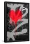 Essential Black