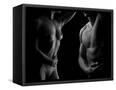 Canvas Black