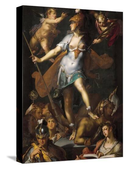 Stretched Canvas Print, , large