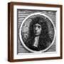 Brown Frame