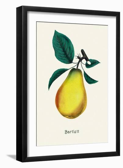 Bartlett Pear-null-Framed Art Print