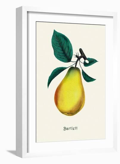 Bartlett Pear-null-Framed Art Print