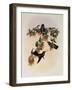 Bartlett's Emerald, Agyrtria Bartletti-John Gould-Framed Giclee Print