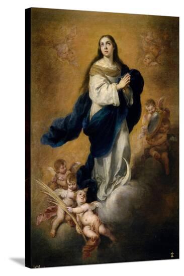 Stretched Canvas Print, , large